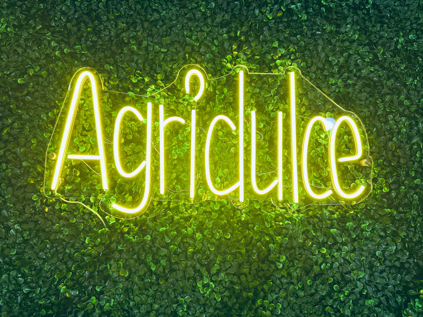 Neon LED Signs